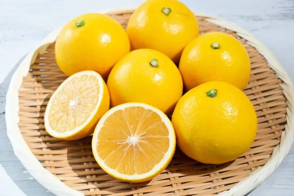 تصویر 3 از لیمو ترش باکیفیت برای مصارف خانگی و صنعتی